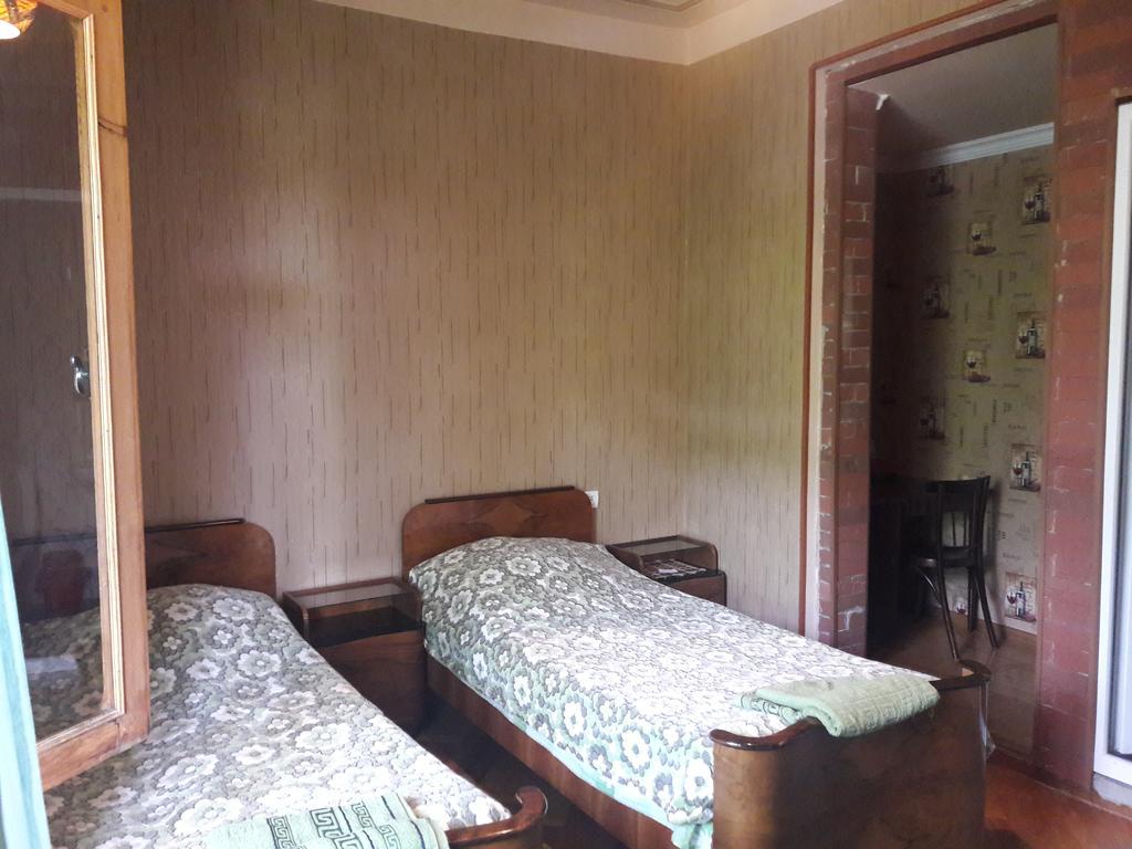 Rachvela'S Guest House ボルジョミ エクステリア 写真