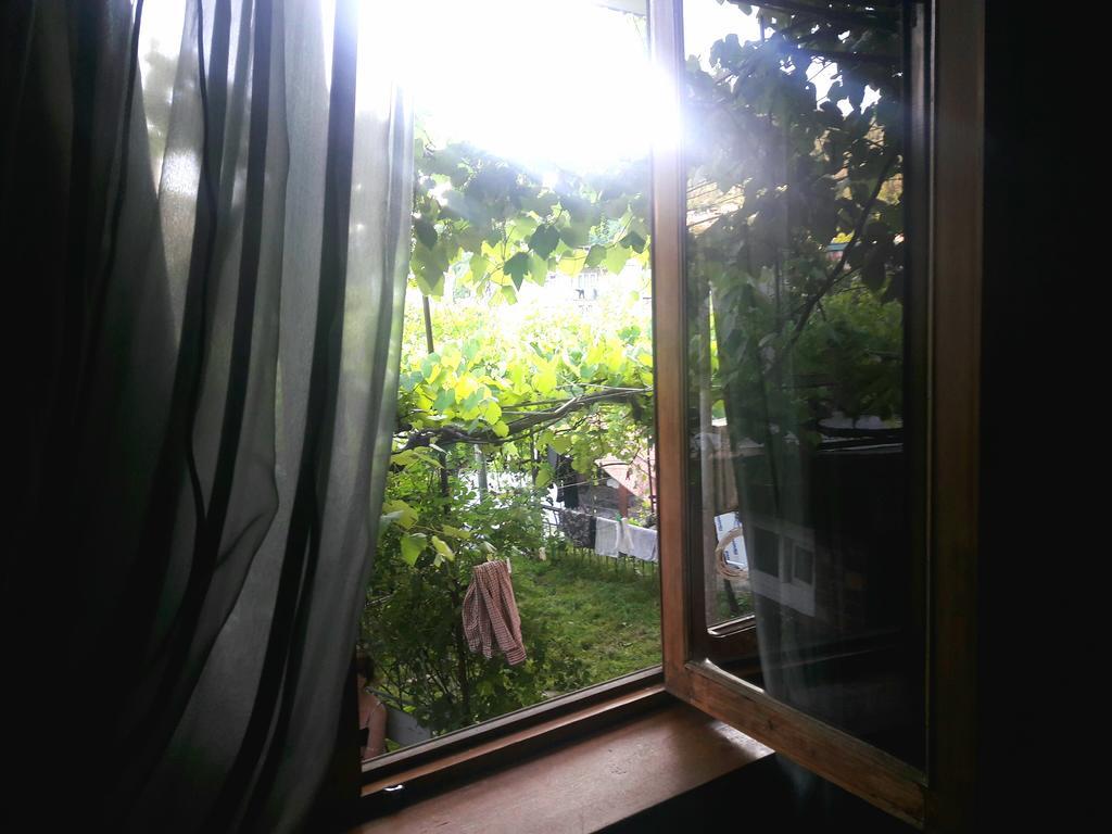 Rachvela'S Guest House ボルジョミ エクステリア 写真