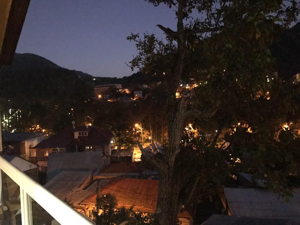 Rachvela'S Guest House ボルジョミ エクステリア 写真