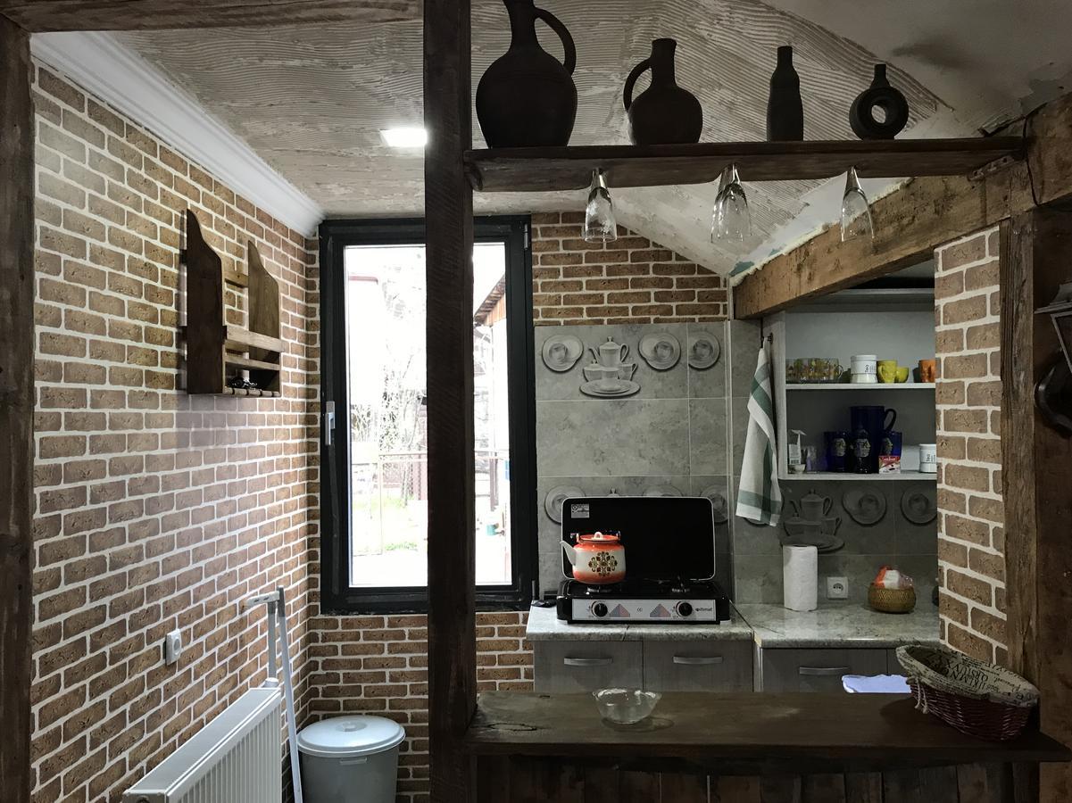 Rachvela'S Guest House ボルジョミ エクステリア 写真